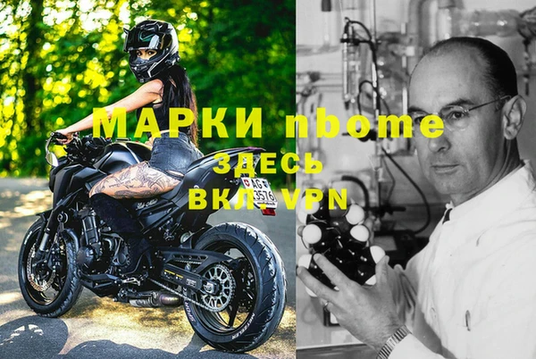 сатива Медногорск