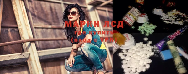сатива Медногорск