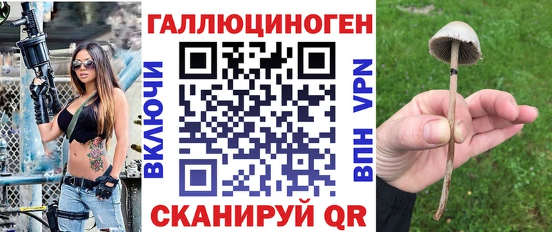 купить  сайты  Тбилисская  Псилоцибиновые грибы Magic Shrooms 